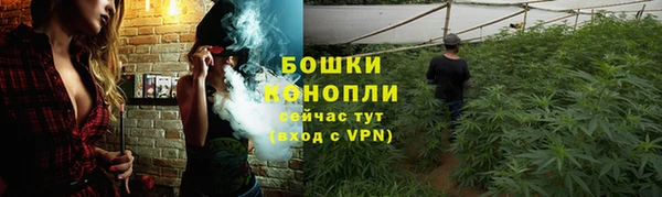 винт Абаза