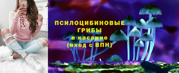 apvp Алексин